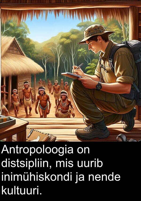 uurib: Antropoloogia on distsipliin, mis uurib inimühiskondi ja nende kultuuri.