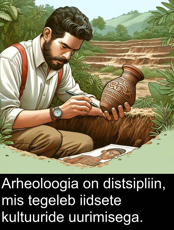distsipliin: Arheoloogia on distsipliin, mis tegeleb iidsete kultuuride uurimisega.