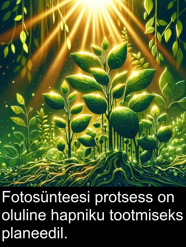 tootmiseks: Fotosünteesi protsess on oluline hapniku tootmiseks planeedil.