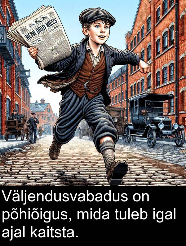 mida: Väljendusvabadus on põhiõigus, mida tuleb igal ajal kaitsta.