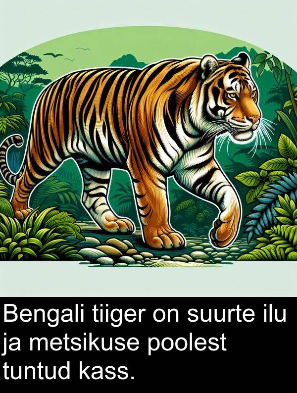 metsikuse: Bengali tiiger on suurte ilu ja metsikuse poolest tuntud kass.