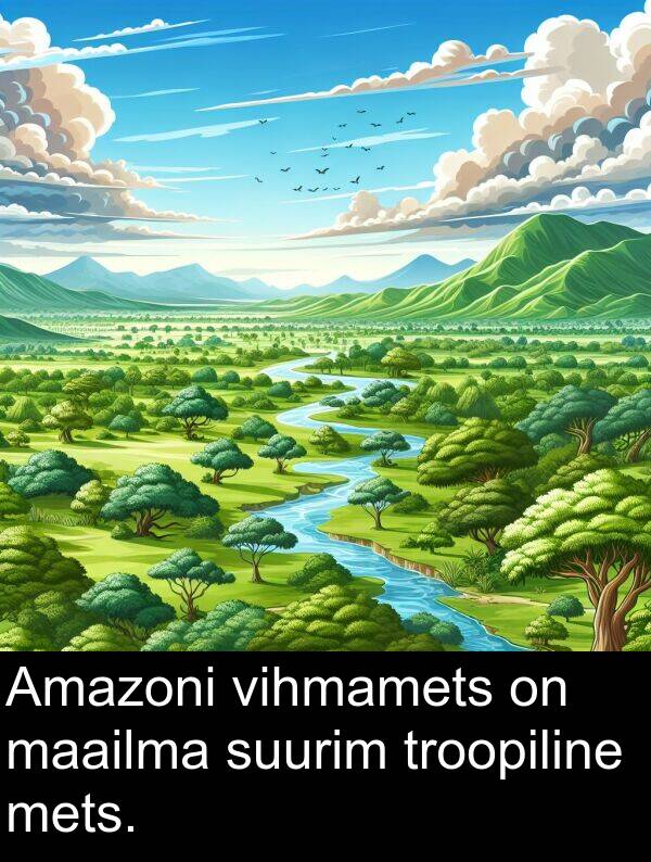 suurim: Amazoni vihmamets on maailma suurim troopiline mets.