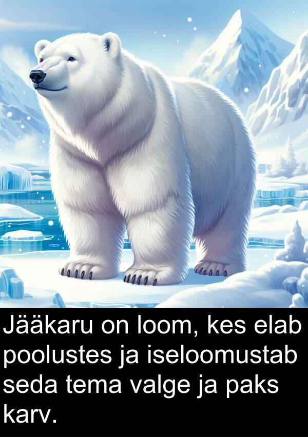 iseloomustab: Jääkaru on loom, kes elab poolustes ja iseloomustab seda tema valge ja paks karv.