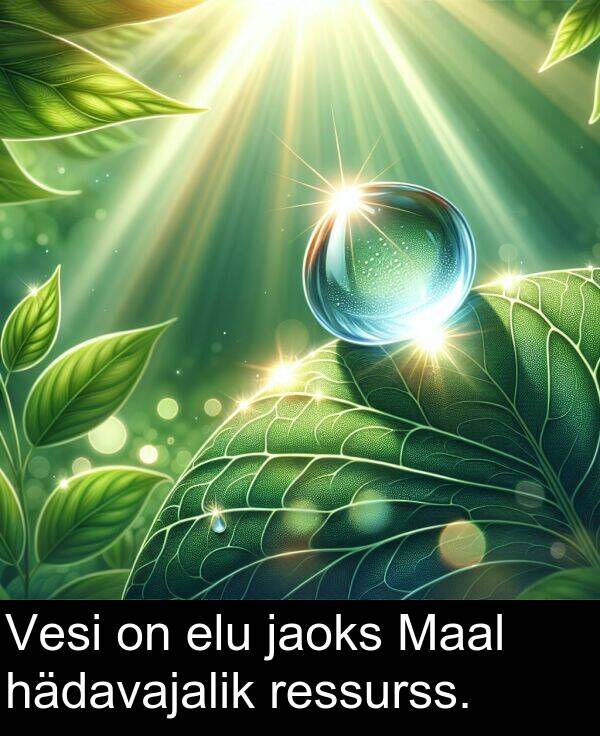 hädavajalik: Vesi on elu jaoks Maal hädavajalik ressurss.