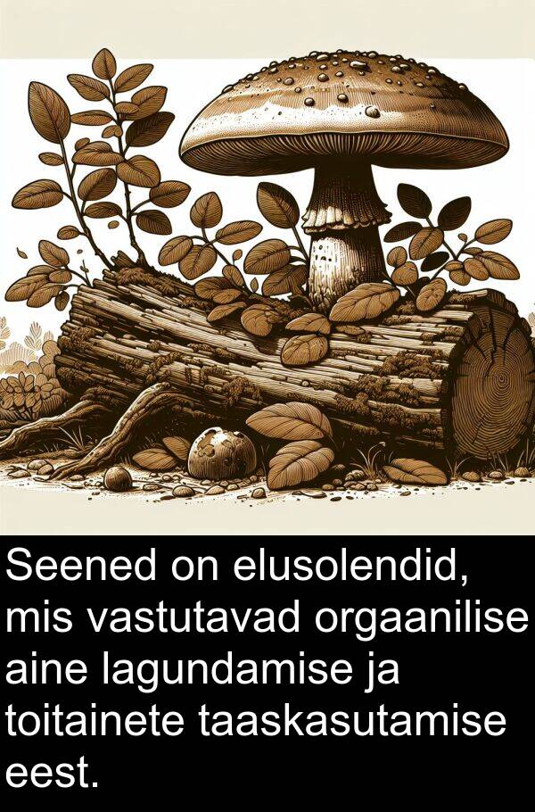 lagundamise: Seened on elusolendid, mis vastutavad orgaanilise aine lagundamise ja toitainete taaskasutamise eest.