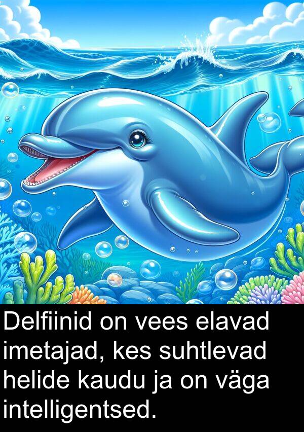 elavad: Delfiinid on vees elavad imetajad, kes suhtlevad helide kaudu ja on väga intelligentsed.