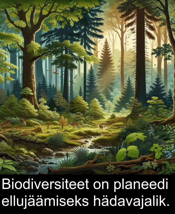hädavajalik: Biodiversiteet on planeedi ellujäämiseks hädavajalik.