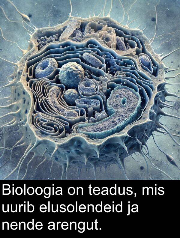 uurib: Bioloogia on teadus, mis uurib elusolendeid ja nende arengut.