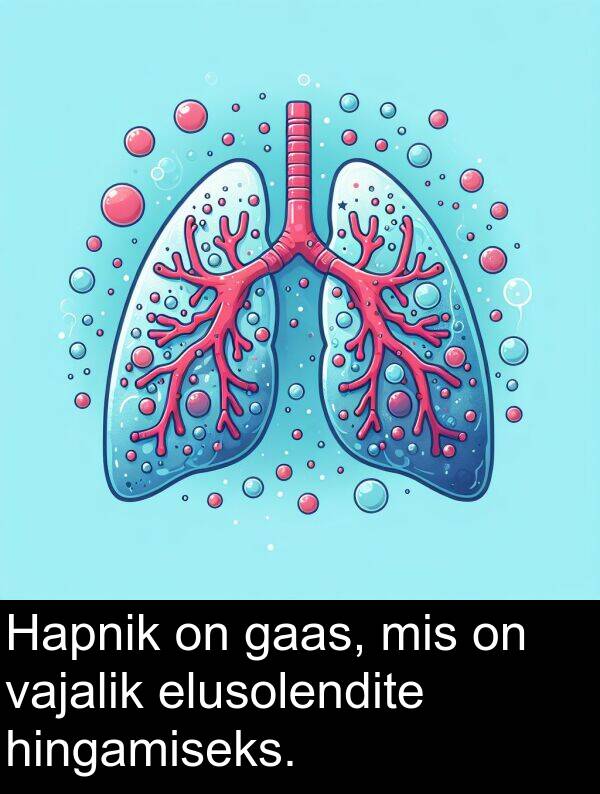 hingamiseks: Hapnik on gaas, mis on vajalik elusolendite hingamiseks.