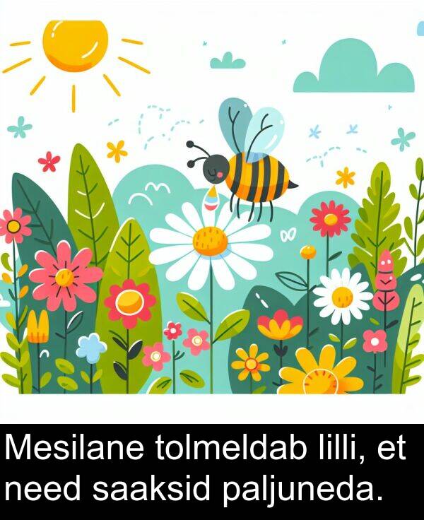 tolmeldab: Mesilane tolmeldab lilli, et need saaksid paljuneda.