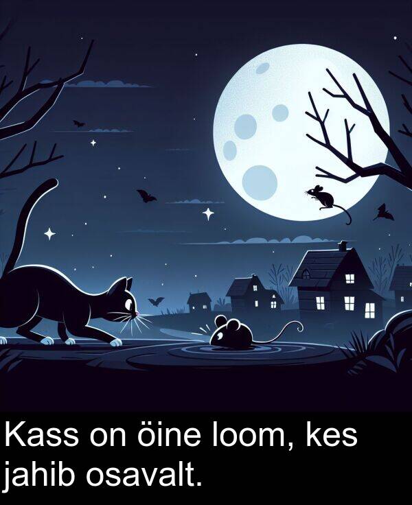 jahib: Kass on öine loom, kes jahib osavalt.