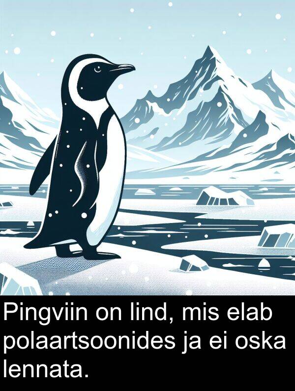 oska: Pingviin on lind, mis elab polaartsoonides ja ei oska lennata.