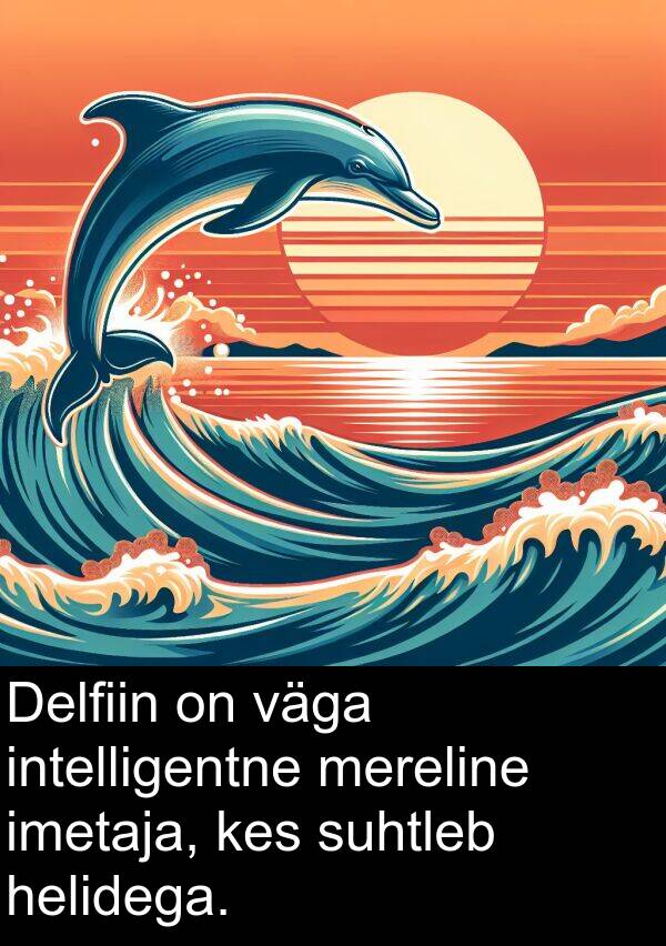 suhtleb: Delfiin on väga intelligentne mereline imetaja, kes suhtleb helidega.