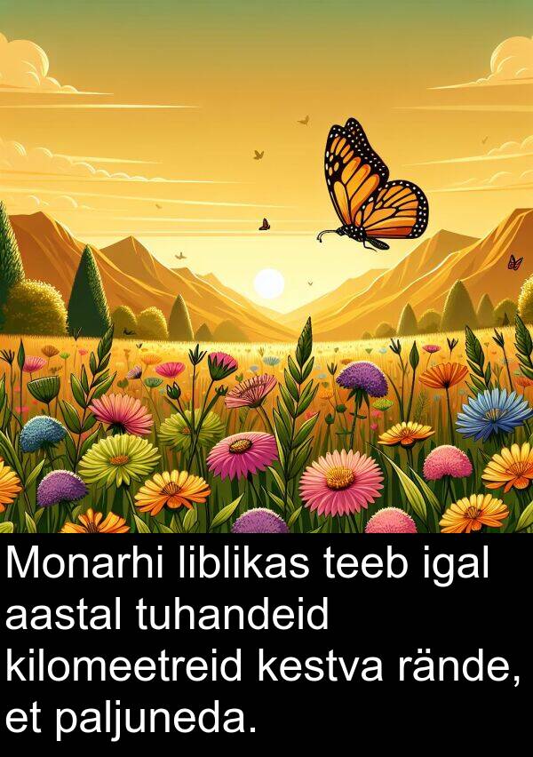 tuhandeid: Monarhi liblikas teeb igal aastal tuhandeid kilomeetreid kestva rände, et paljuneda.