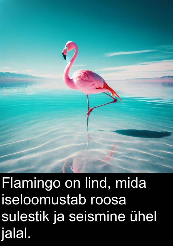 roosa: Flamingo on lind, mida iseloomustab roosa sulestik ja seismine ühel jalal.