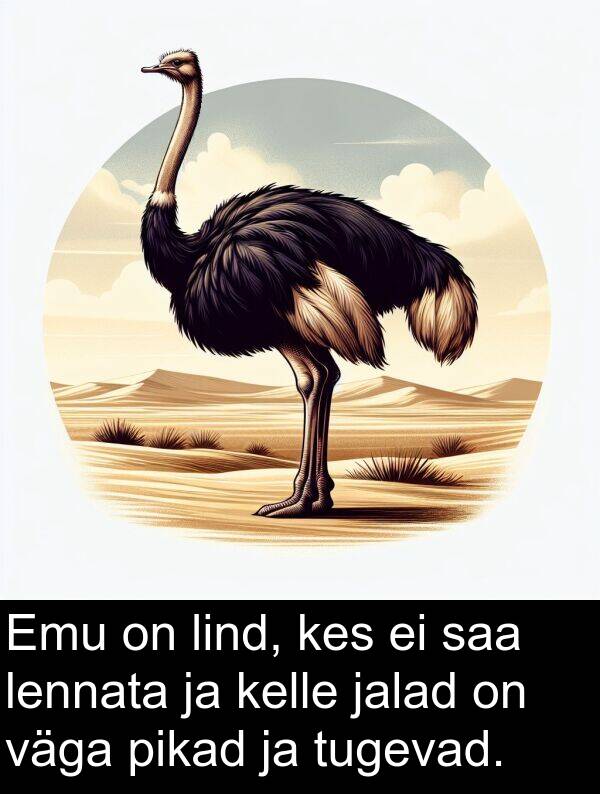 tugevad: Emu on lind, kes ei saa lennata ja kelle jalad on väga pikad ja tugevad.
