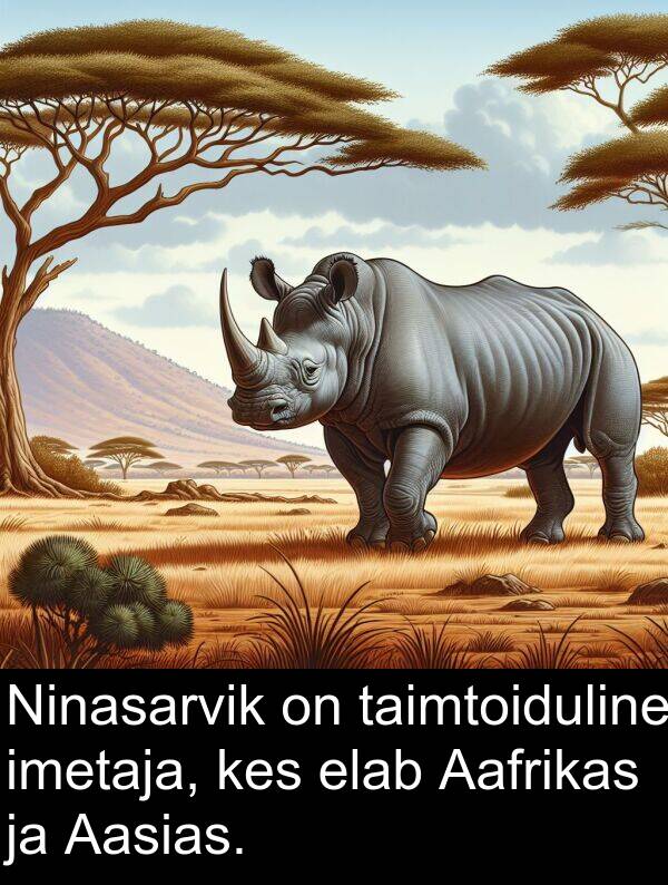 taimtoiduline: Ninasarvik on taimtoiduline imetaja, kes elab Aafrikas ja Aasias.