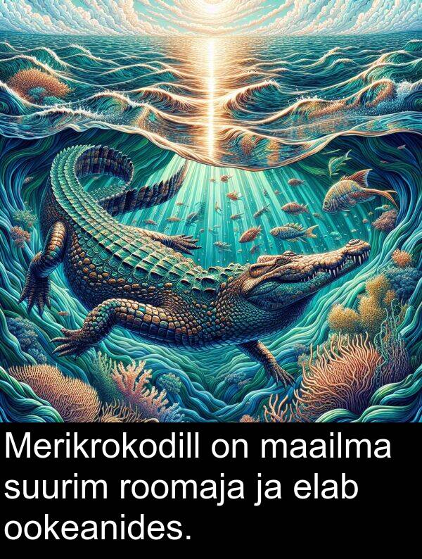 roomaja: Merikrokodill on maailma suurim roomaja ja elab ookeanides.