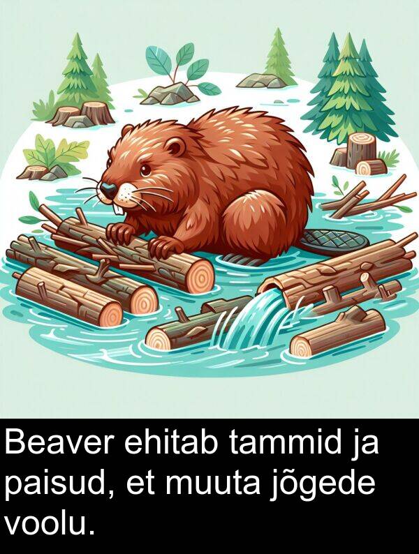 voolu: Beaver ehitab tammid ja paisud, et muuta jõgede voolu.