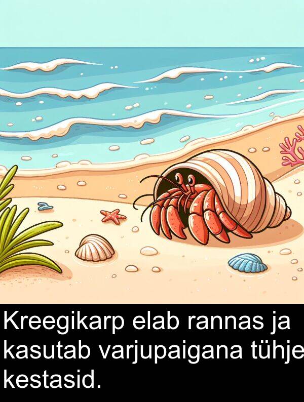 tühje: Kreegikarp elab rannas ja kasutab varjupaigana tühje kestasid.
