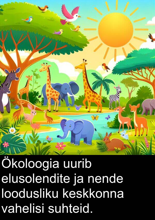uurib: Ökoloogia uurib elusolendite ja nende loodusliku keskkonna vahelisi suhteid.