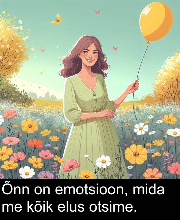 mida: Õnn on emotsioon, mida me kõik elus otsime.