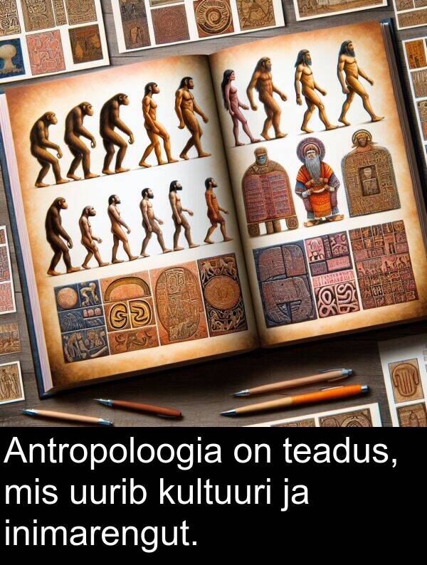 uurib: Antropoloogia on teadus, mis uurib kultuuri ja inimarengut.