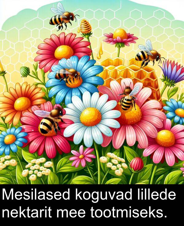 koguvad: Mesilased koguvad lillede nektarit mee tootmiseks.