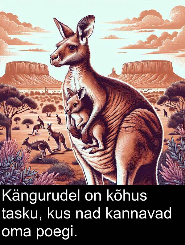 kus: Kängurudel on kõhus tasku, kus nad kannavad oma poegi.