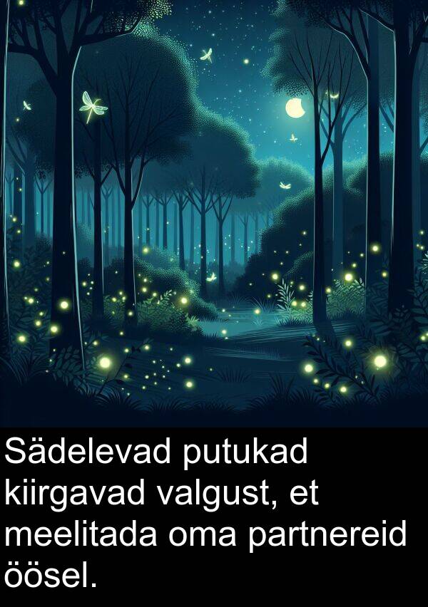 putukad: Sädelevad putukad kiirgavad valgust, et meelitada oma partnereid öösel.
