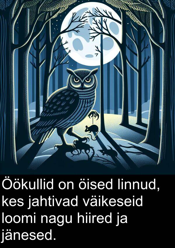 öised: Öökullid on öised linnud, kes jahtivad väikeseid loomi nagu hiired ja jänesed.