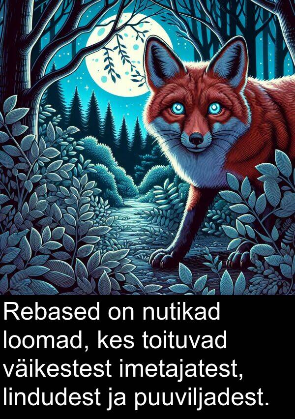 lindudest: Rebased on nutikad loomad, kes toituvad väikestest imetajatest, lindudest ja puuviljadest.