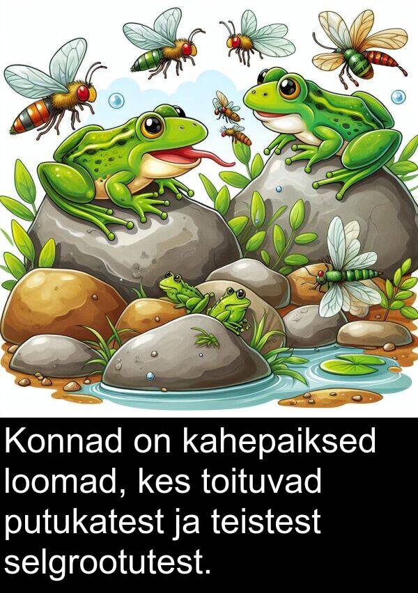 putukatest: Konnad on kahepaiksed loomad, kes toituvad putukatest ja teistest selgrootutest.
