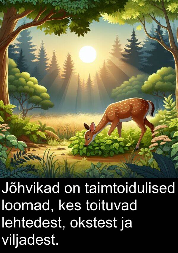 toituvad: Jõhvikad on taimtoidulised loomad, kes toituvad lehtedest, okstest ja viljadest.
