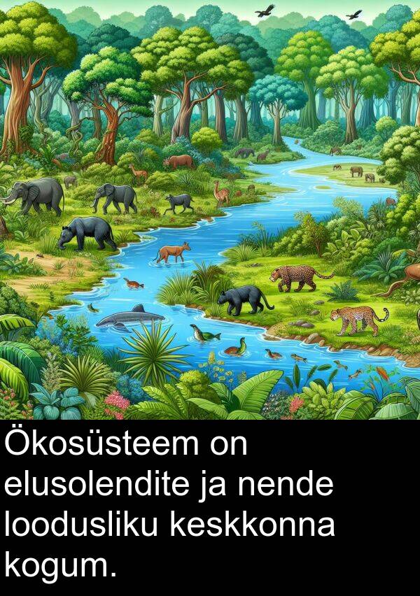 elusolendite: Ökosüsteem on elusolendite ja nende loodusliku keskkonna kogum.