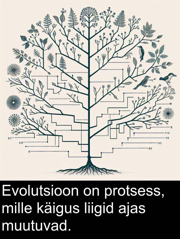 käigus: Evolutsioon on protsess, mille käigus liigid ajas muutuvad.