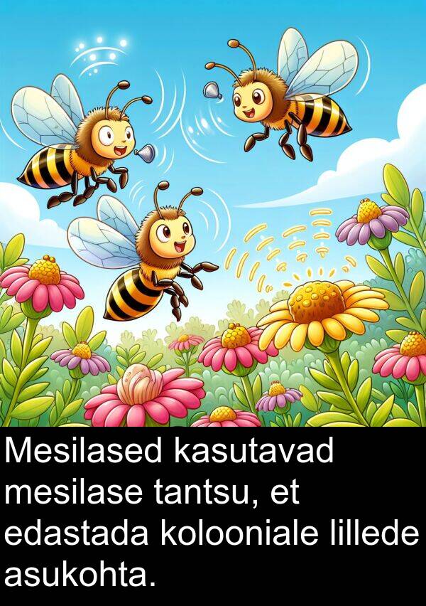 lillede: Mesilased kasutavad mesilase tantsu, et edastada kolooniale lillede asukohta.