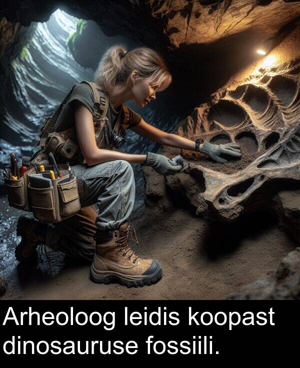 dinosauruse: Arheoloog leidis koopast dinosauruse fossiili.