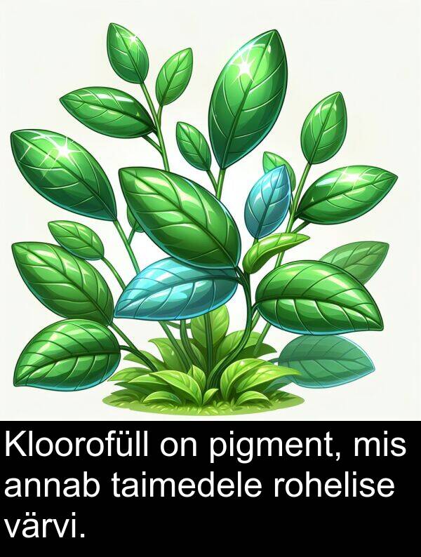 värvi: Kloorofüll on pigment, mis annab taimedele rohelise värvi.