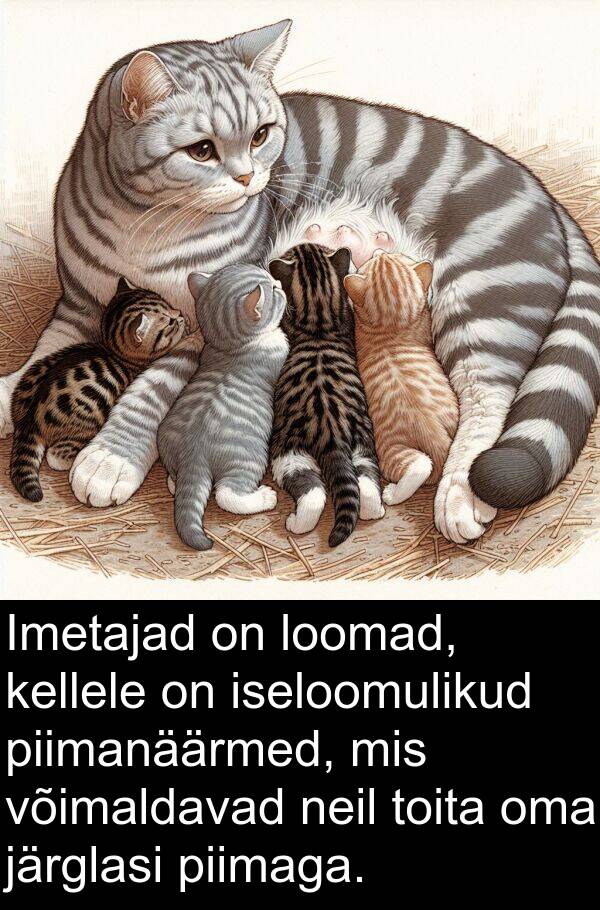 iseloomulikud: Imetajad on loomad, kellele on iseloomulikud piimanäärmed, mis võimaldavad neil toita oma järglasi piimaga.