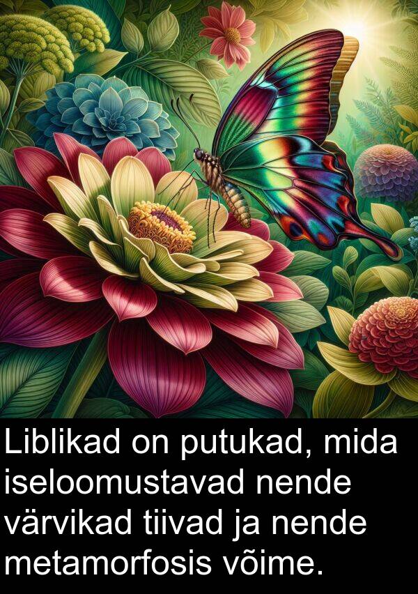 värvikad: Liblikad on putukad, mida iseloomustavad nende värvikad tiivad ja nende metamorfosis võime.