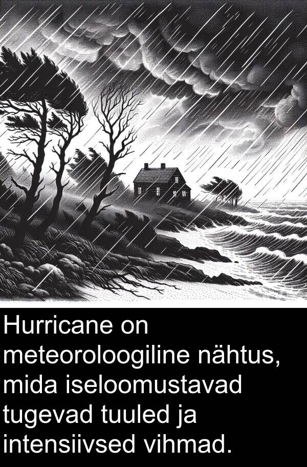 intensiivsed: Hurricane on meteoroloogiline nähtus, mida iseloomustavad tugevad tuuled ja intensiivsed vihmad.