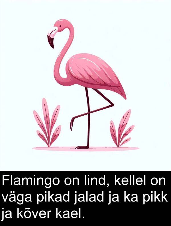 kõver: Flamingo on lind, kellel on väga pikad jalad ja ka pikk ja kõver kael.