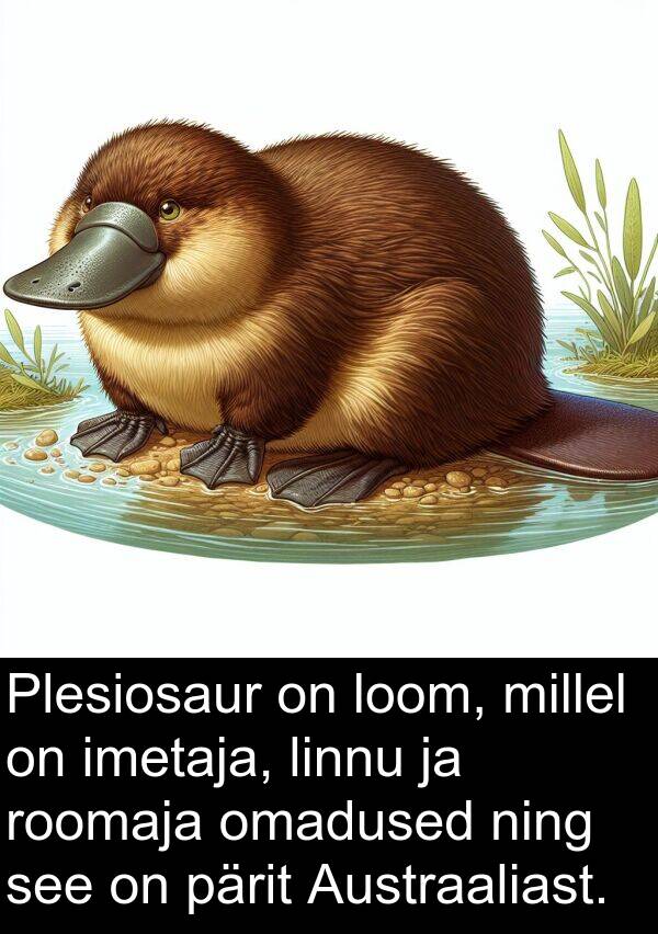 linnu: Plesiosaur on loom, millel on imetaja, linnu ja roomaja omadused ning see on pärit Austraaliast.