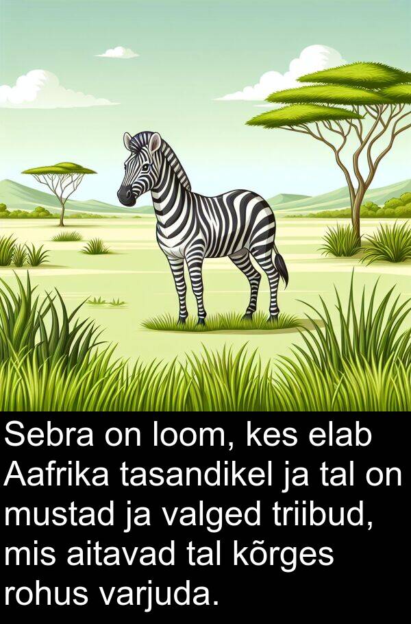 mustad: Sebra on loom, kes elab Aafrika tasandikel ja tal on mustad ja valged triibud, mis aitavad tal kõrges rohus varjuda.