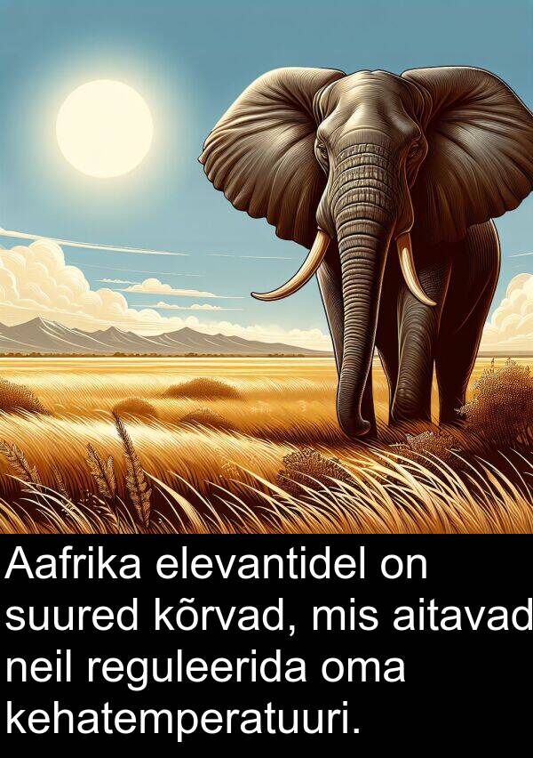 elevantidel: Aafrika elevantidel on suured kõrvad, mis aitavad neil reguleerida oma kehatemperatuuri.