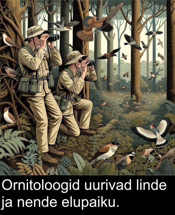 linde: Ornitoloogid uurivad linde ja nende elupaiku.