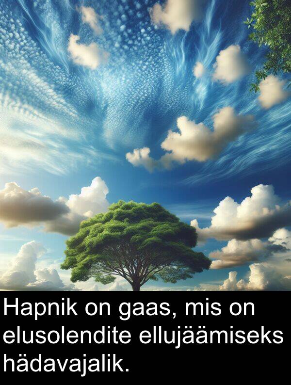 hädavajalik: Hapnik on gaas, mis on elusolendite ellujäämiseks hädavajalik.