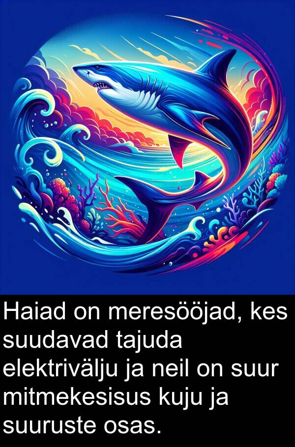 kuju: Haiad on meresööjad, kes suudavad tajuda elektrivälju ja neil on suur mitmekesisus kuju ja suuruste osas.