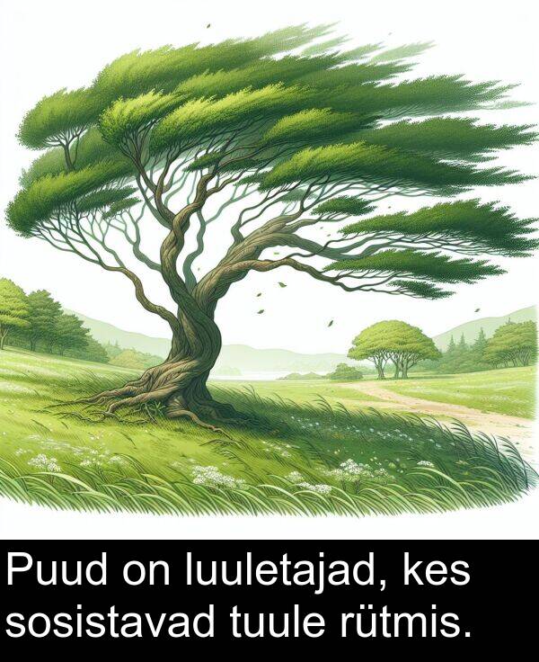 tuule: Puud on luuletajad, kes sosistavad tuule rütmis.